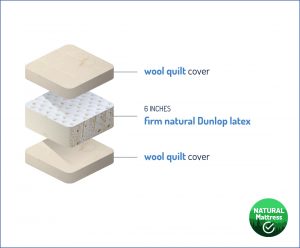 Junior Latex Mattress
