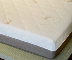 Ungava Latex Mattress